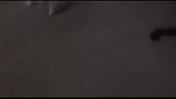 Ibu Tiri Mary Memaksa Anak Tirinya Menghamili Adik Tirinya Yang Mungil