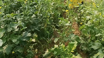 ममता सरसों के खेत में अकेली थी जब उसके पति ने मौका देखकर बाहर खुले में ज़ोरदार चुदाई की, हिंदी में गंदी आवाजें आ रही थीं