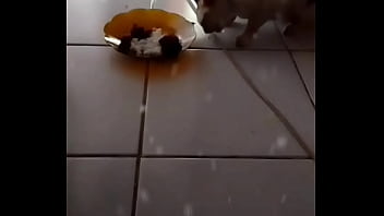 Anita, Si Manis Penggoda Yang Bikin Nafsu Bergolak