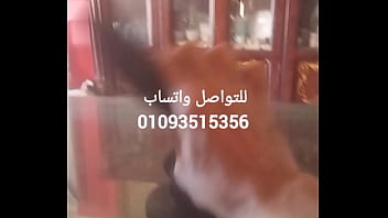 عضو ذكري صناعي من السليكون للنساء في مصر