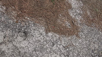 Ibu Tiri Turki Tak Segan Mengencingi Celah Kemaluannya Yang Lebat Di Depan Anak Tirinya