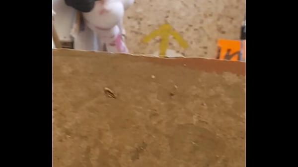 Gercep Aja Tuh Jalang Pake Culotte Kebuka Lebar Pas Lagi Ngangkang.
